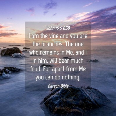 Picture 04 - John 15:5 BSB - I am the vine and you are the branches. The one - Bible Verse Picture