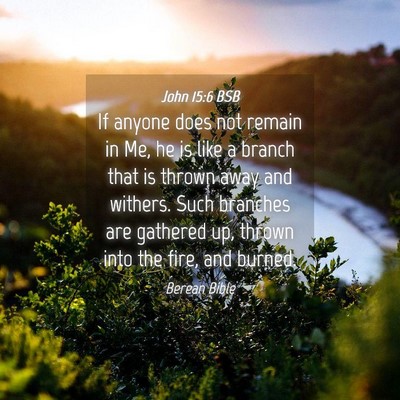 Picture 04 - John 15:6 BSB - If anyone does not remain in Me, he is like a - Bible Verse Picture