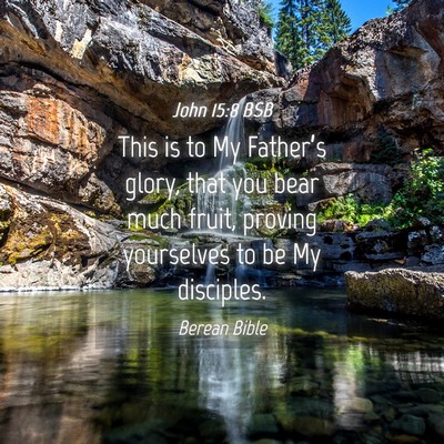 Picture 04 - John 15:8 BSB - This is to My Father’s glory, that you bear - Bible Verse Picture
