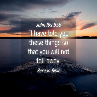 Picture 04 - John 16:1 BSB - “I have told you these things so that you will - Bible Verse Picture