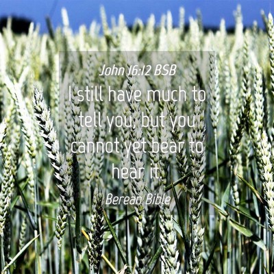 Picture 04 - John 16:12 BSB - I still have much to tell you, but you cannot yet - Bible Verse Picture
