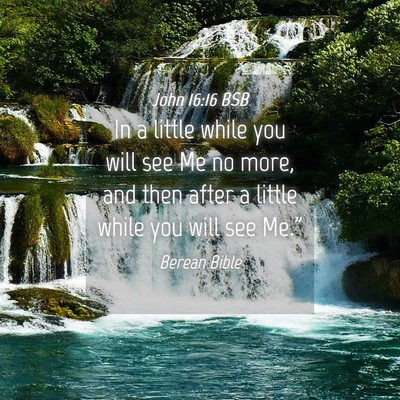 Picture 04 - John 16:16 BSB - In a little while you will see Me no more, and - Bible Verse Picture