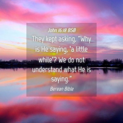 Picture 04 - John 16:18 BSB - They kept asking, “Why is He saying, ‘a - Bible Verse Picture