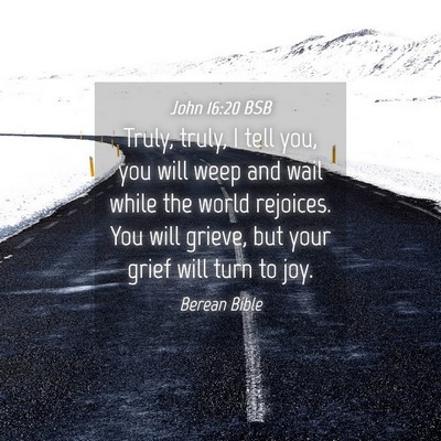 Picture 04 - John 16:20 BSB - Truly, truly, I tell you, you will weep and wail - Bible Verse Picture