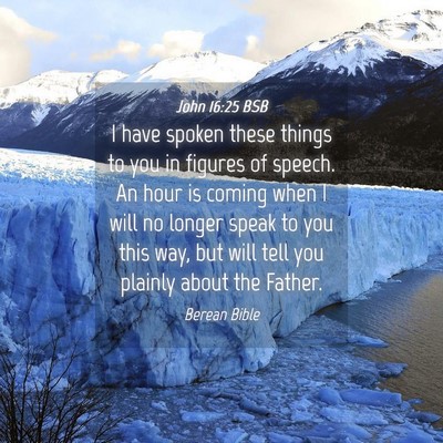 Picture 04 - John 16:25 BSB - I have spoken these things to you in figures of - Bible Verse Picture