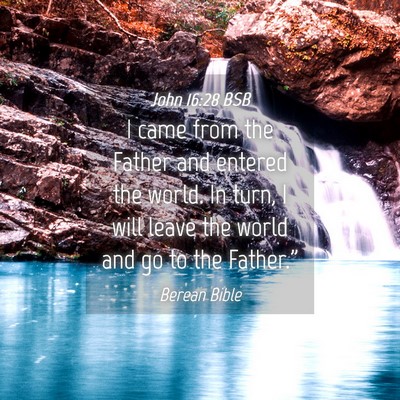 Picture 04 - John 16:28 BSB - I came from the Father and entered the world. In - Bible Verse Picture