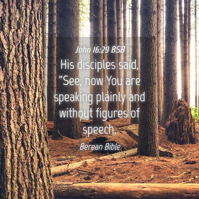 Picture 04 - John 16:29 BSB - His disciples said, “See, now You are speaking - Bible Verse Picture