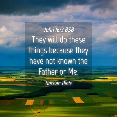 Picture 04 - John 16:3 BSB - They will do these things because they have not - Bible Verse Picture