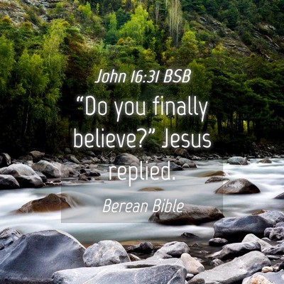Picture 04 - John 16:31 BSB - “Do you finally believe?” Jesus - Bible Verse Picture