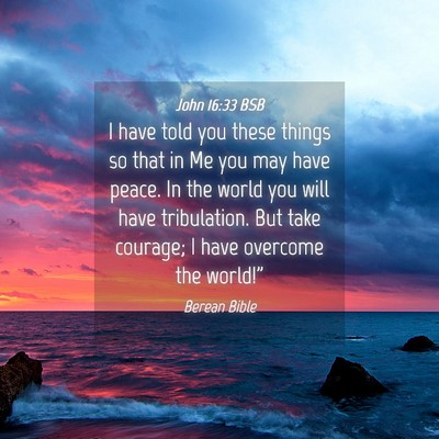 Picture 04 - John 16:33 BSB - I have told you these things so that in Me you - Bible Verse Picture