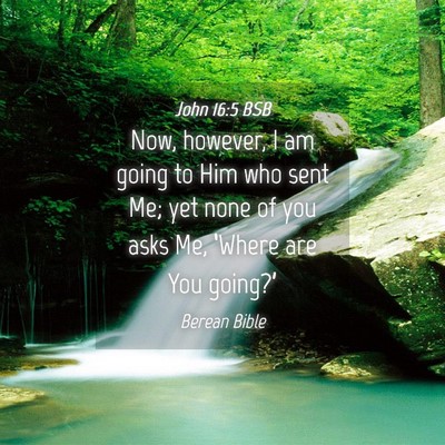 Picture 04 - John 16:5 BSB - Now, however, I am going to Him who sent Me; yet - Bible Verse Picture