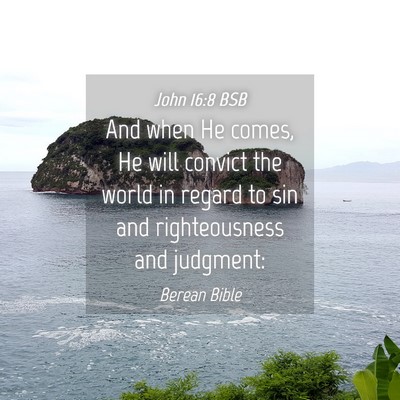 Picture 04 - John 16:8 BSB - And when He comes, He will convict the world in - Bible Verse Picture