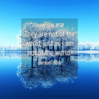 Picture 04 - John 17:16 BSB - They are not of the world, just as I am not of - Bible Verse Picture