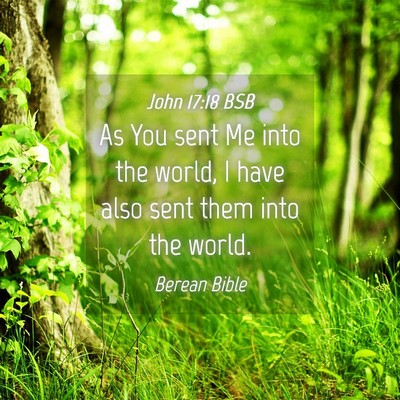 Picture 04 - John 17:18 BSB - As You sent Me into the world, I have also sent - Bible Verse Picture