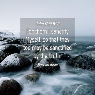 Picture 04 - John 17:19 BSB - For them I sanctify Myself, so that they too may - Bible Verse Picture