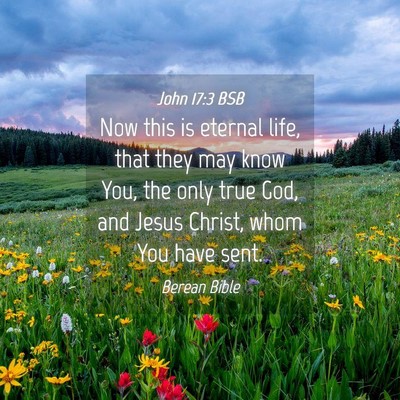 Picture 04 - John 17:3 BSB - Now this is eternal life, that they may know You, - Bible Verse Picture