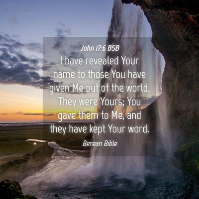 Picture 04 - John 17:6 BSB - I have revealed Your name to those You have given - Bible Verse Picture