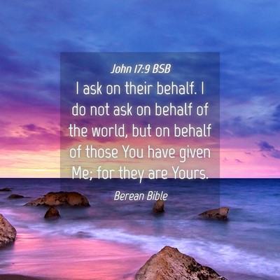 Picture 04 - John 17:9 BSB - I ask on their behalf. I do not ask on behalf of - Bible Verse Picture