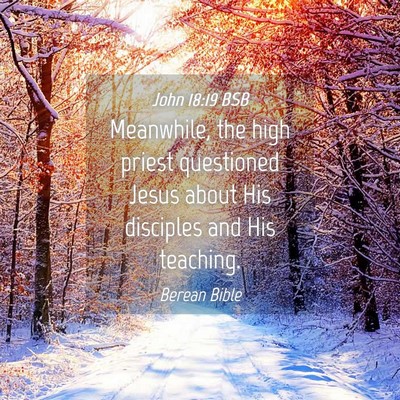 Picture 04 - John 18:19 BSB - Meanwhile, the high priest questioned Jesus about - Bible Verse Picture