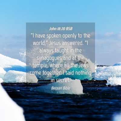 Picture 04 - John 18:20 BSB - “I have spoken openly to the world,” Jesus - Bible Verse Picture