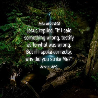 Picture 04 - John 18:23 BSB - Jesus replied, “If I said something wrong, - Bible Verse Picture
