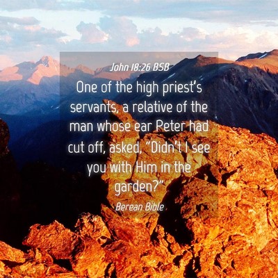 Picture 04 - John 18:26 BSB - One of the high priest’s servants, a relative - Bible Verse Picture