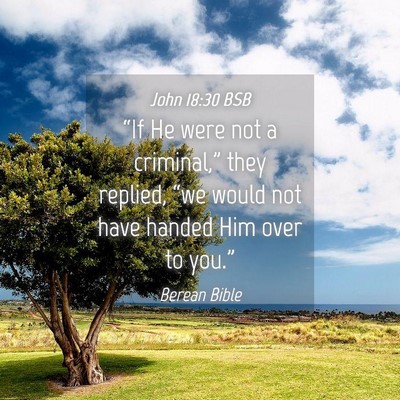 Picture 04 - John 18:30 BSB - “If He were not a criminal,” they replied, - Bible Verse Picture