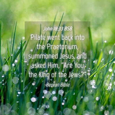 Picture 04 - John 18:33 BSB - Pilate went back into the Praetorium, summoned - Bible Verse Picture