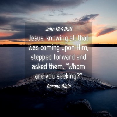 Picture 04 - John 18:4 BSB - Jesus, knowing all that was coming upon Him, - Bible Verse Picture
