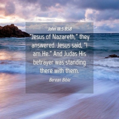 Picture 04 - John 18:5 BSB - “Jesus of Nazareth,” they answered. Jesus - Bible Verse Picture