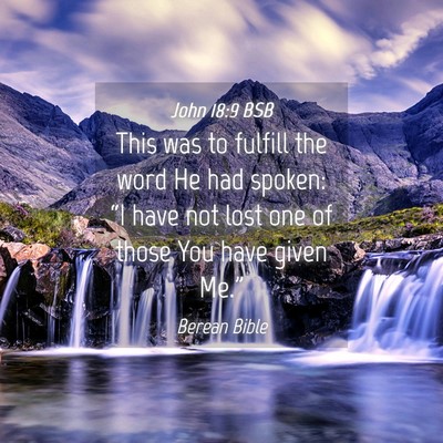 Picture 04 - John 18:9 BSB - This was to fulfill the word He had spoken: “I - Bible Verse Picture