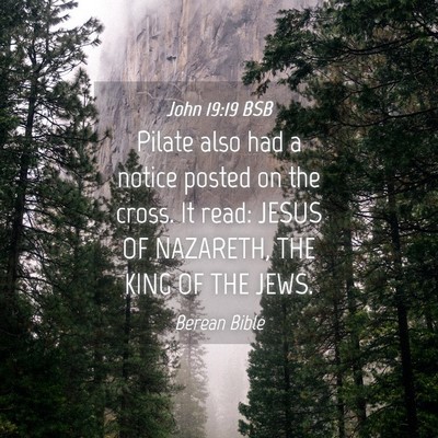 Picture 04 - John 19:19 BSB - Pilate also had a notice posted on the cross. It - Bible Verse Picture
