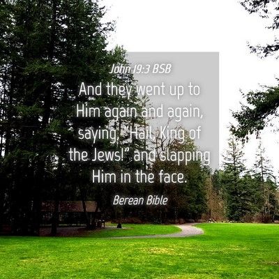 Picture 04 - John 19:3 BSB - And they went up to Him again and again, saying, - Bible Verse Picture