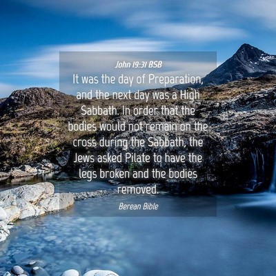 Picture 04 - John 19:31 BSB - It was the day of Preparation, and the next day - Bible Verse Picture