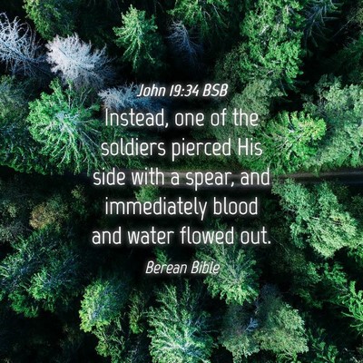 Picture 04 - John 19:34 BSB - Instead, one of the soldiers pierced His side - Bible Verse Picture