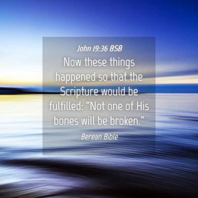 Picture 04 - John 19:36 BSB - Now these things happened so that the Scripture - Bible Verse Picture