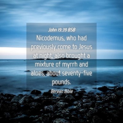 Picture 04 - John 19:39 BSB - Nicodemus, who had previously come to Jesus at - Bible Verse Picture