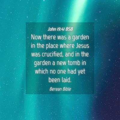 Picture 04 - John 19:41 BSB - Now there was a garden in the place where Jesus - Bible Verse Picture