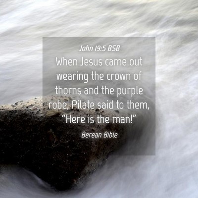 Picture 04 - John 19:5 BSB - When Jesus came out wearing the crown of thorns - Bible Verse Picture