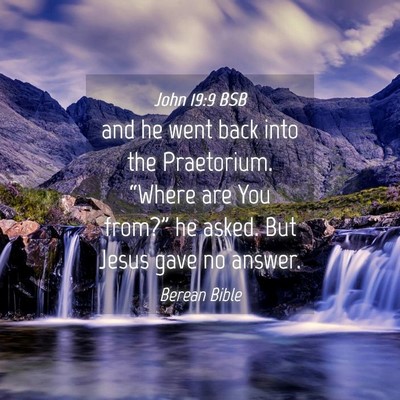 Picture 04 - John 19:9 BSB - and he went back into the Praetorium. “Where - Bible Verse Picture