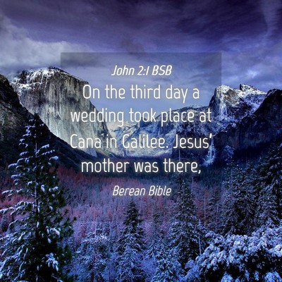 Picture 04 - John 2:1 BSB - On the third day a wedding took place at Cana in - Bible Verse Picture