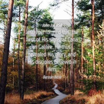 Picture 04 - John 2:11 BSB - Jesus performed this, the first of His signs, at - Bible Verse Picture