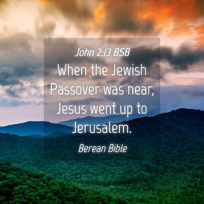 Picture 04 - John 2:13 BSB - When the Jewish Passover was near, Jesus went up - Bible Verse Picture