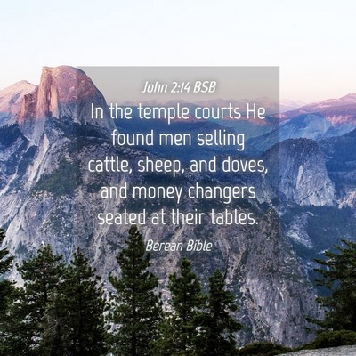 Picture 04 - John 2:14 BSB - In the temple courts He found men selling cattle, - Bible Verse Picture