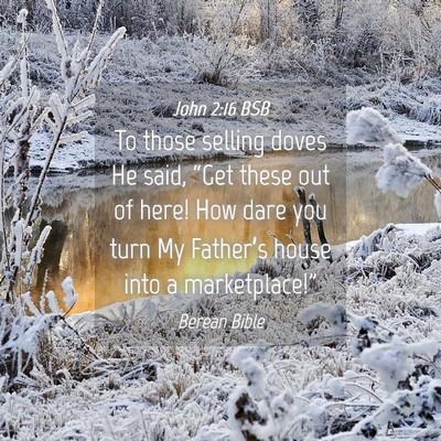 Picture 04 - John 2:16 BSB - To those selling doves He said, “Get these out - Bible Verse Picture
