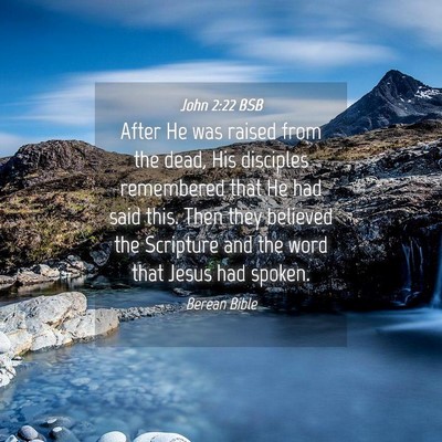 Picture 04 - John 2:22 BSB - After He was raised from the dead, His disciples - Bible Verse Picture