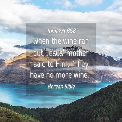 Picture 04 - John 2:3 BSB - When the wine ran out, Jesus’ mother said to - Bible Verse Picture