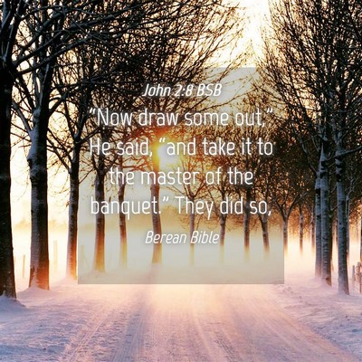 Picture 04 - John 2:8 BSB - “Now draw some out,” He said, “and take it - Bible Verse Picture