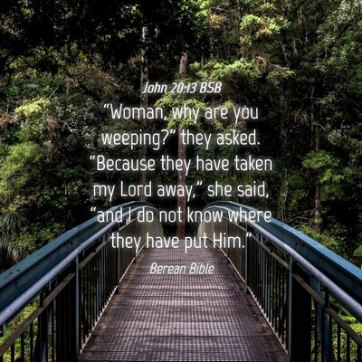 Picture 04 - John 20:13 BSB - “Woman, why are you weeping?” they asked. - Bible Verse Picture