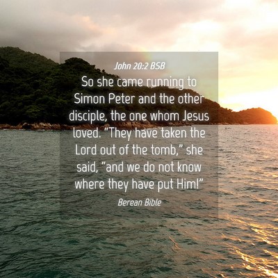 Picture 04 - John 20:2 BSB - So she came running to Simon Peter and the other - Bible Verse Picture